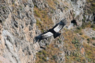 Cruz-del-Condor_0022.jpg