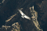 Cruz-del-Condor_0027.jpg