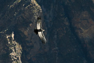 Cruz-del-Condor_0032.jpg