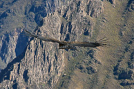 Cruz-del-Condor_0037.jpg