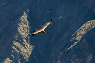 Cruz-del-Condor_0038.jpg