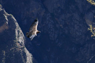 Cruz-del-Condor_0045.jpg