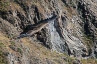 Cruz-del-Condor_0052.jpg