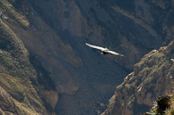 Cruz-del-Condor_0060.jpg