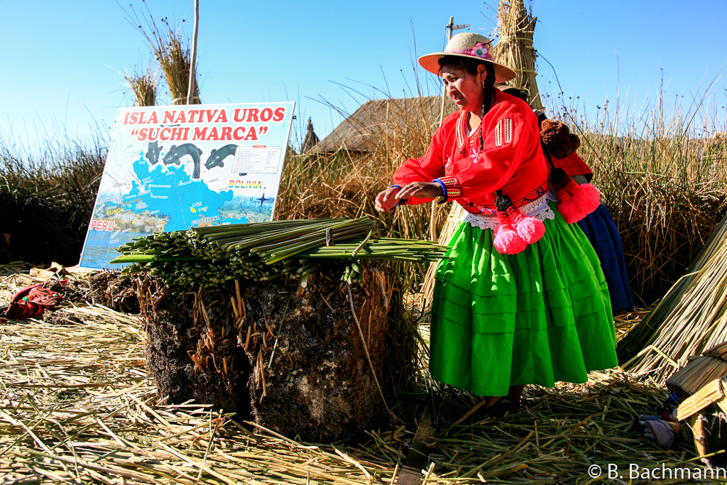 Titicaca_0040.jpg