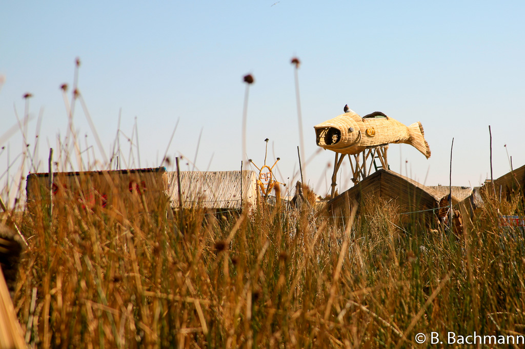 Titicaca_0048.jpg