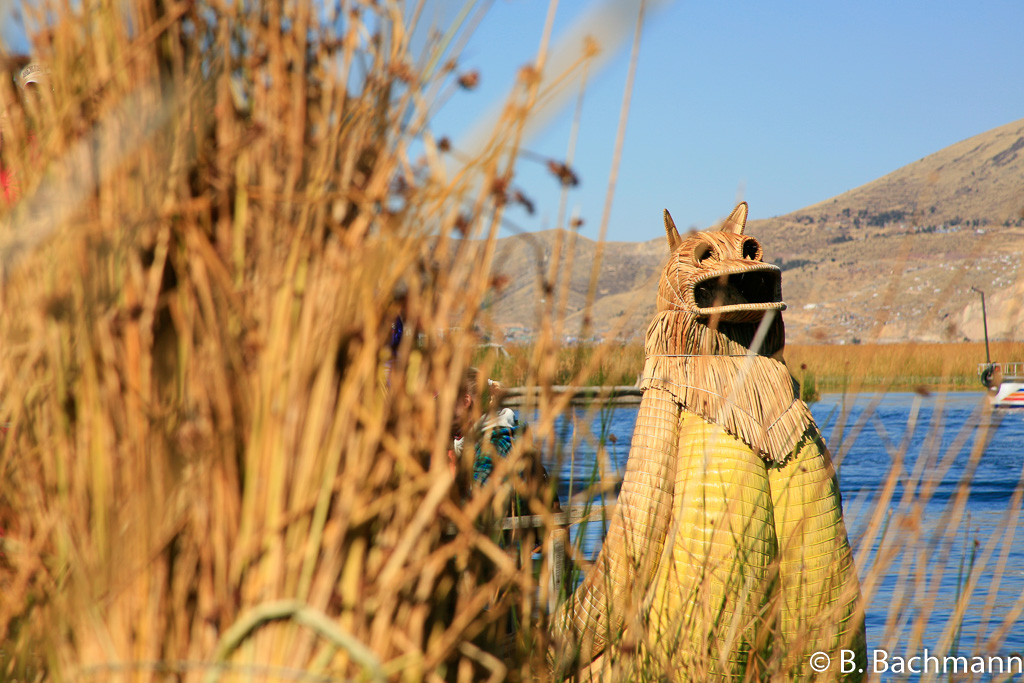 Titicaca_0056.jpg