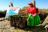 Titicaca_0040.jpg