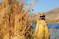 Titicaca_0056.jpg