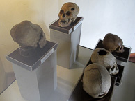 Lima_Museum_0073.jpg