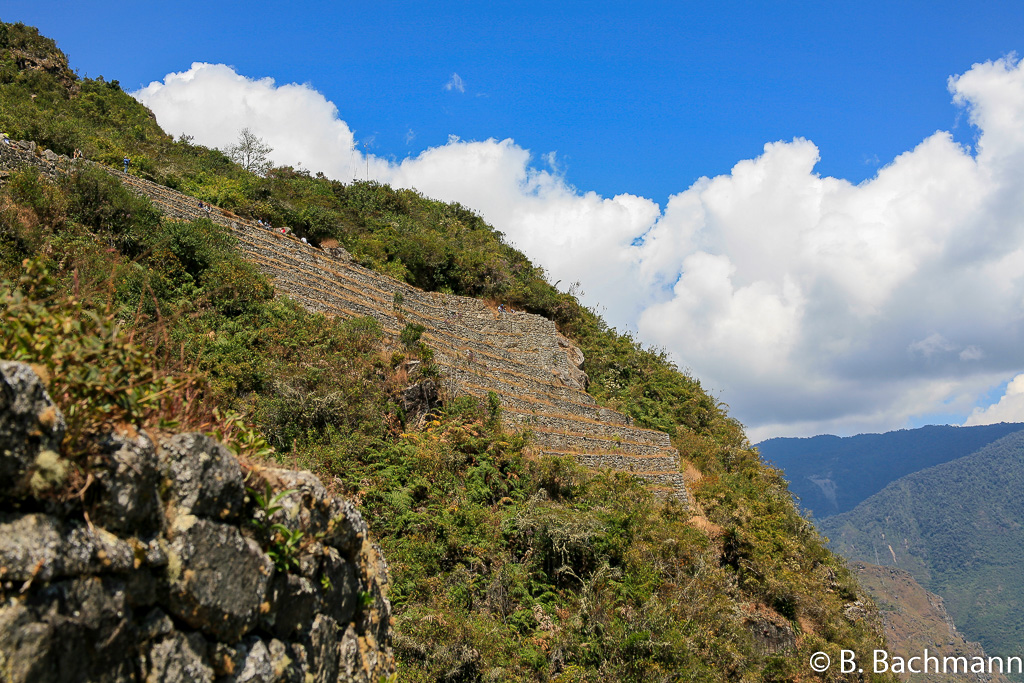 Machu_Picchu_0008.jpg
