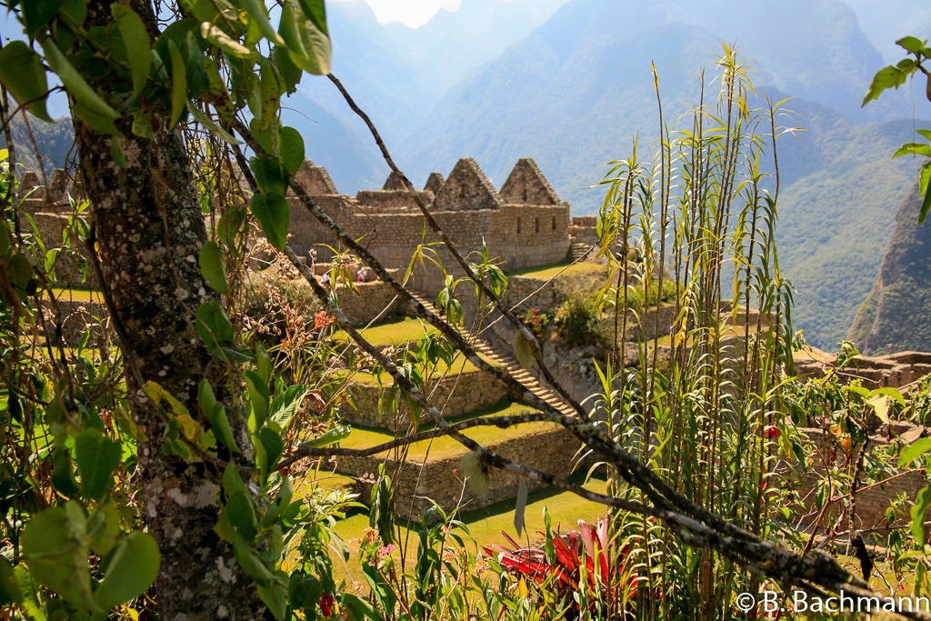 Machu_Picchu_0037.jpg