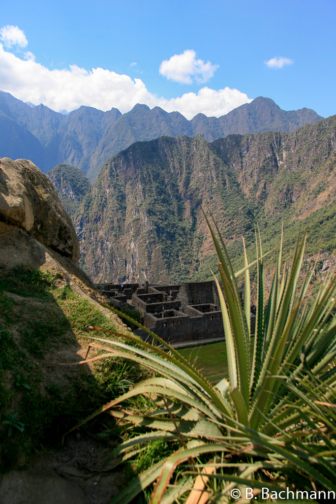Machu_Picchu_0049.jpg