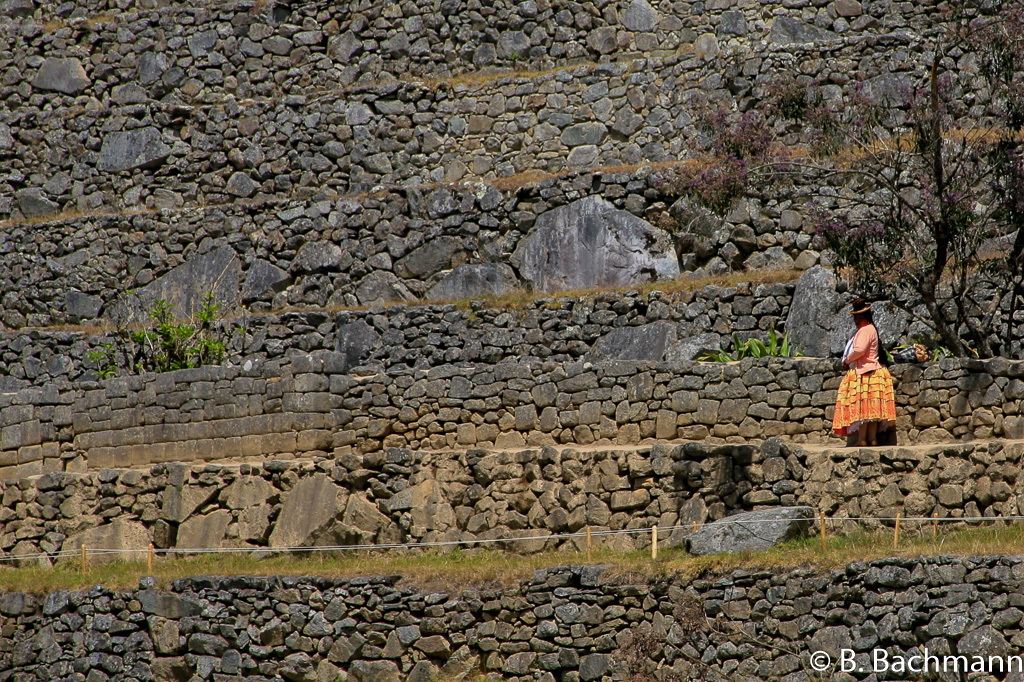 Machu_Picchu_0071.jpg