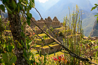Machu_Picchu_0037.jpg