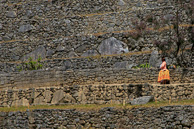 Machu_Picchu_0071.jpg