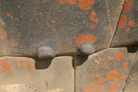Ollantaytambo_0014.jpg