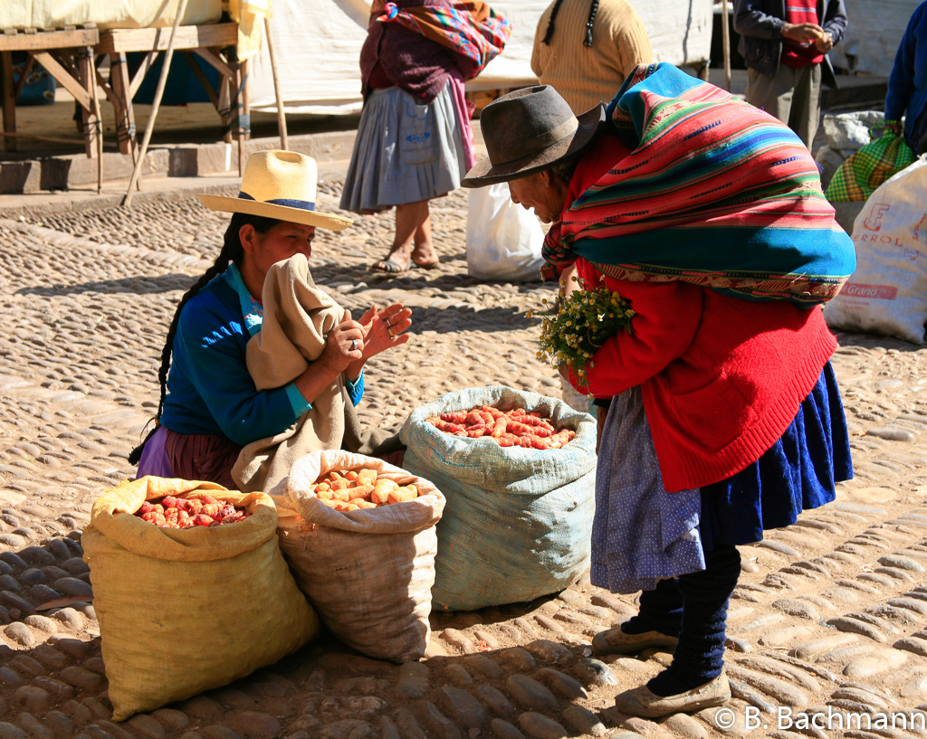 Pisac_0008.jpg