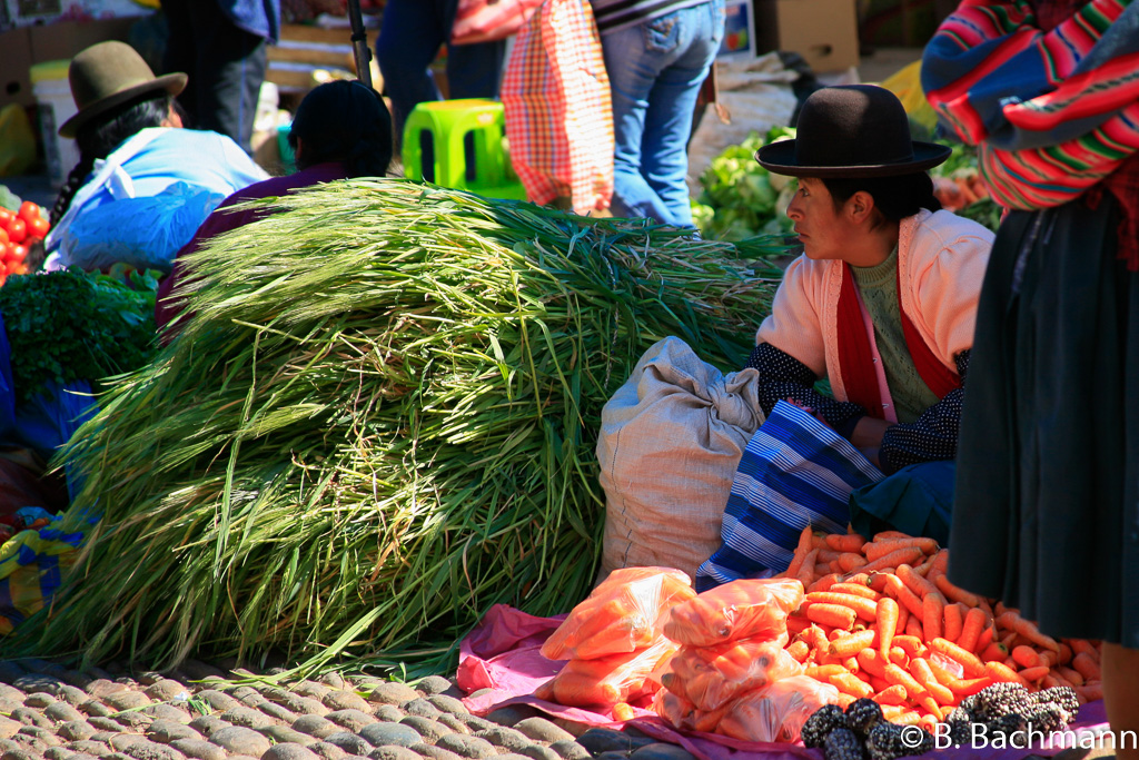 Pisac_0038.jpg