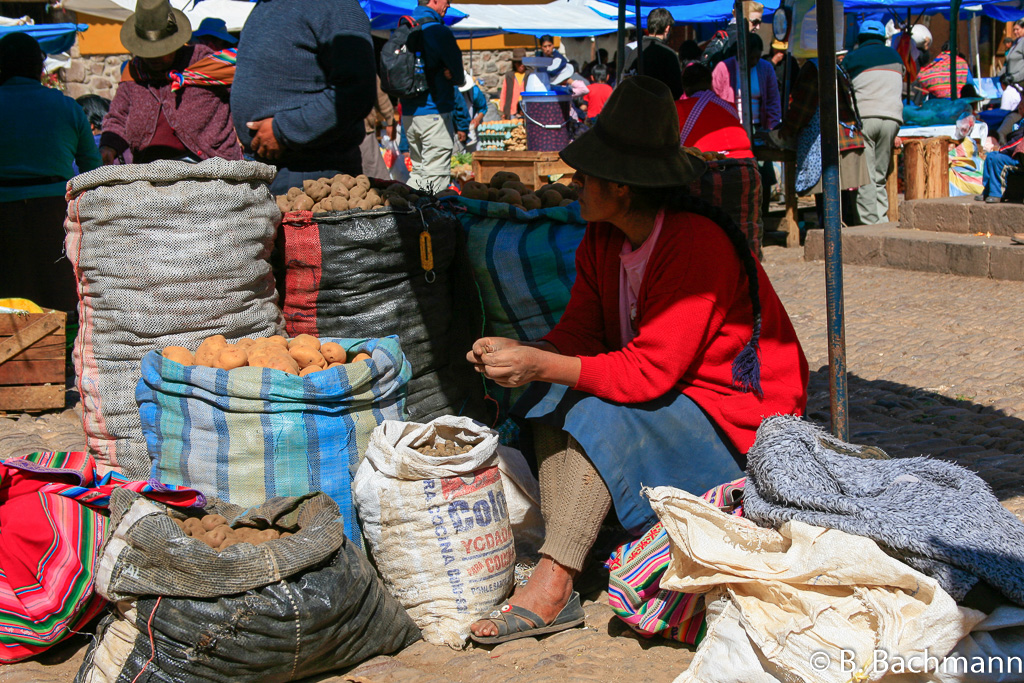 Pisac_0050.jpg