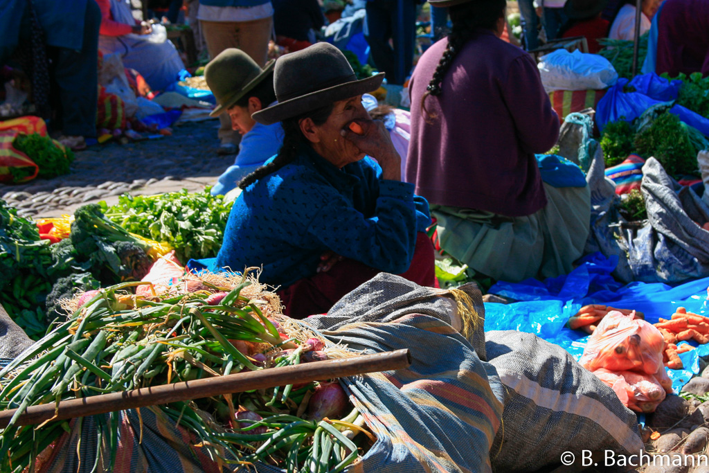 Pisac_0065.jpg