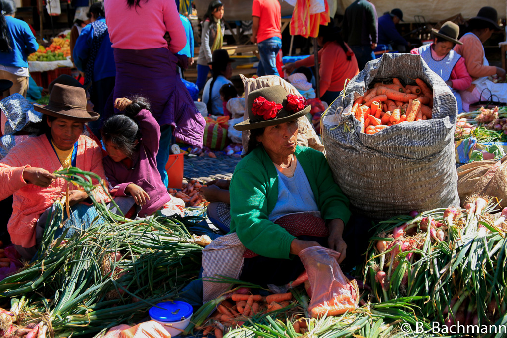 Pisac_0067.jpg