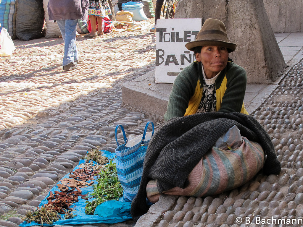 Pisac_0071.jpg