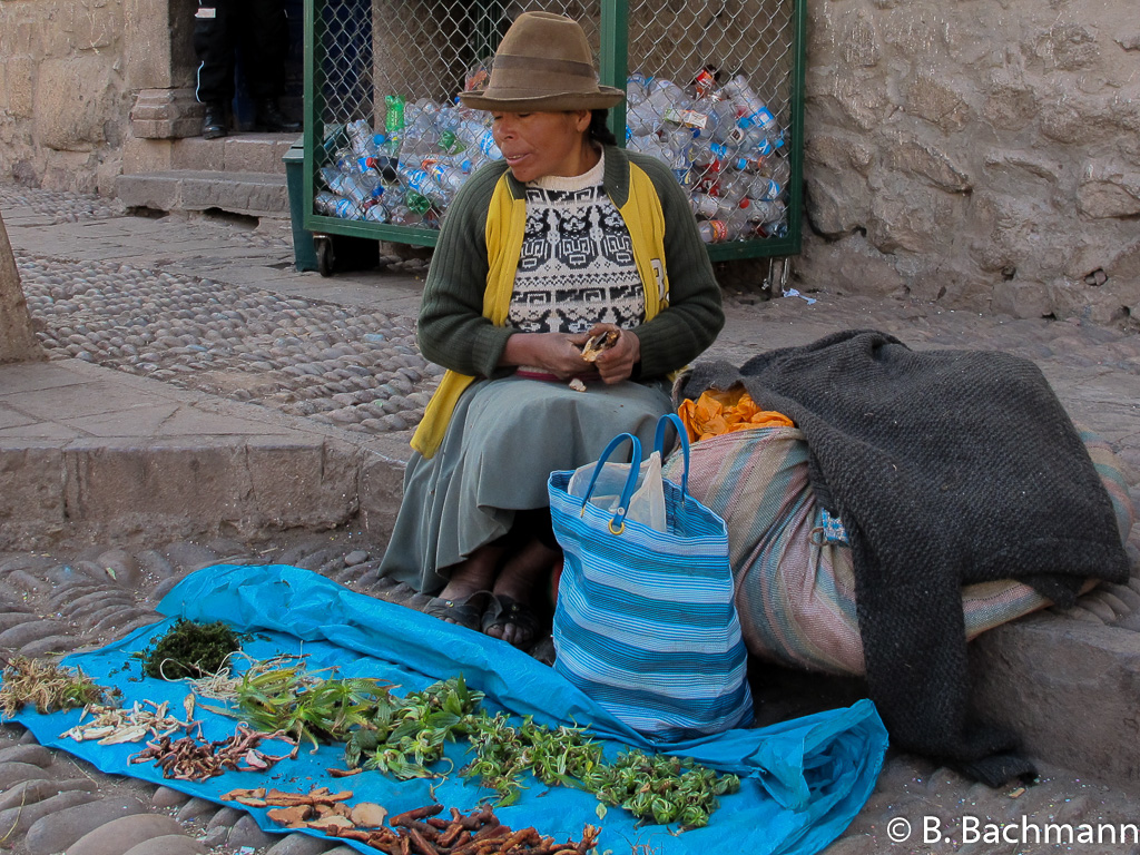 Pisac_0073.jpg