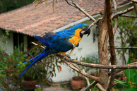 Pisac_0116.jpg