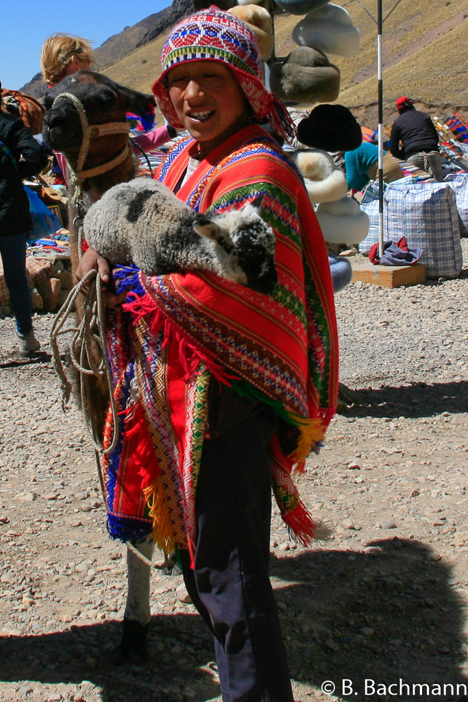Pukara-LaRaya-Raqchi_0044.jpg