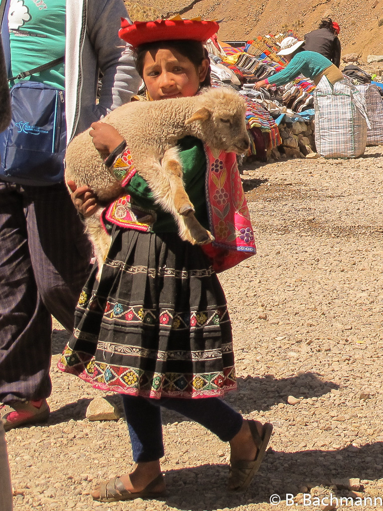 Pukara-LaRaya-Raqchi_0046.jpg