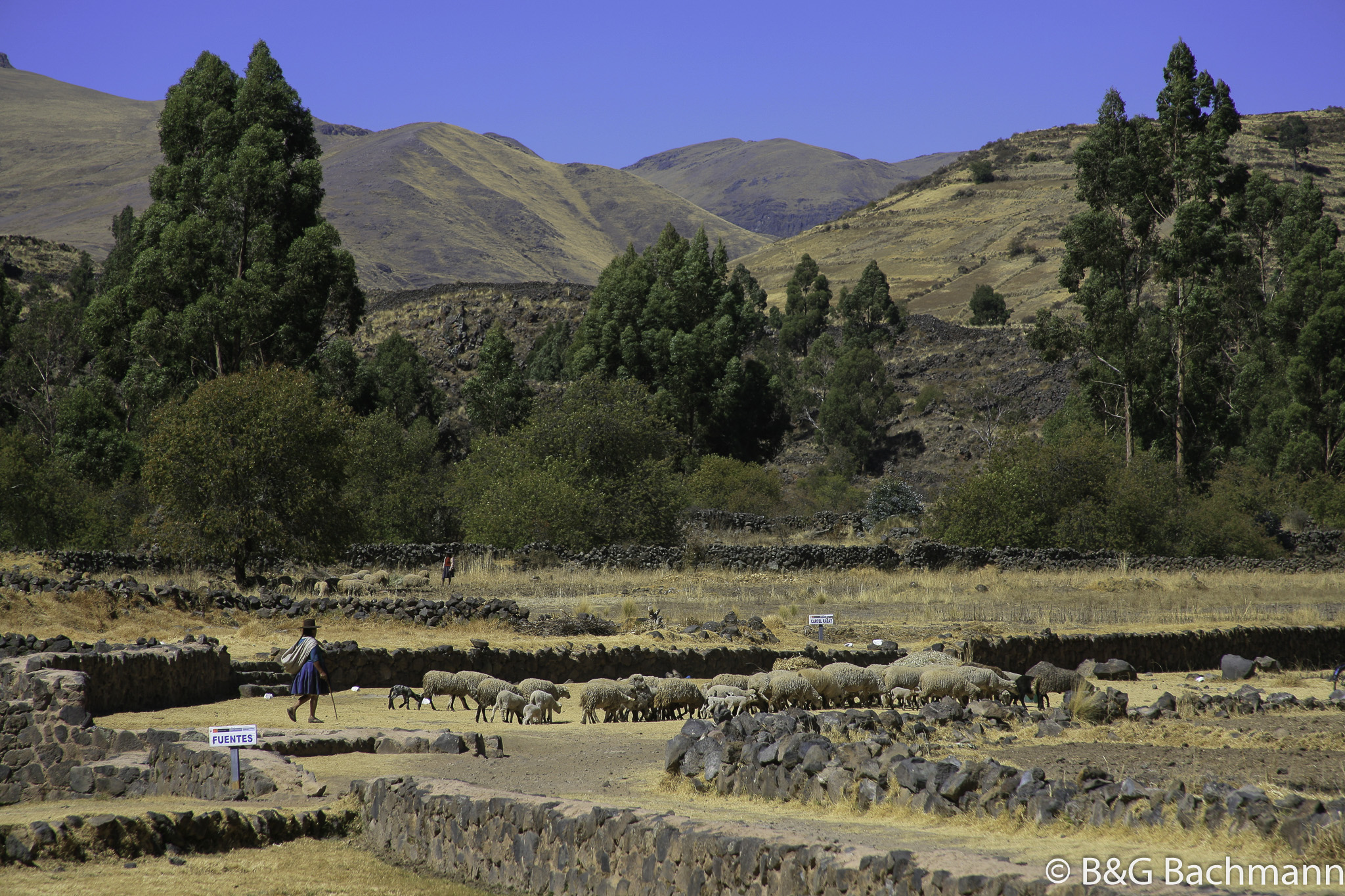 Pukara-LaRaya-Raqchi_0084.jpg