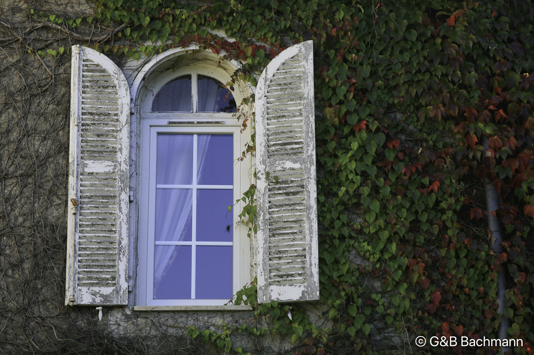 1009_Loire_F.jpg