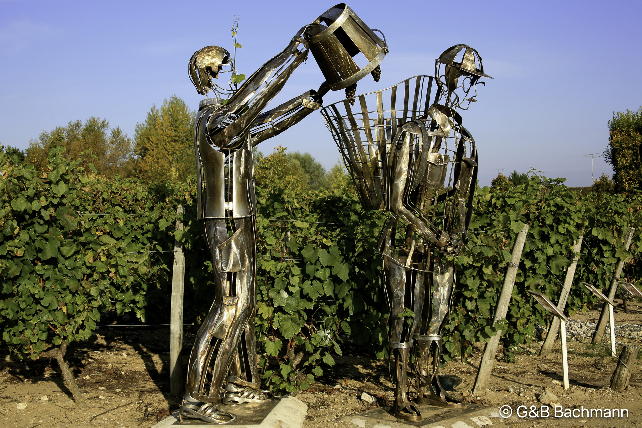 1010_Grape-Pickers_F.jpg