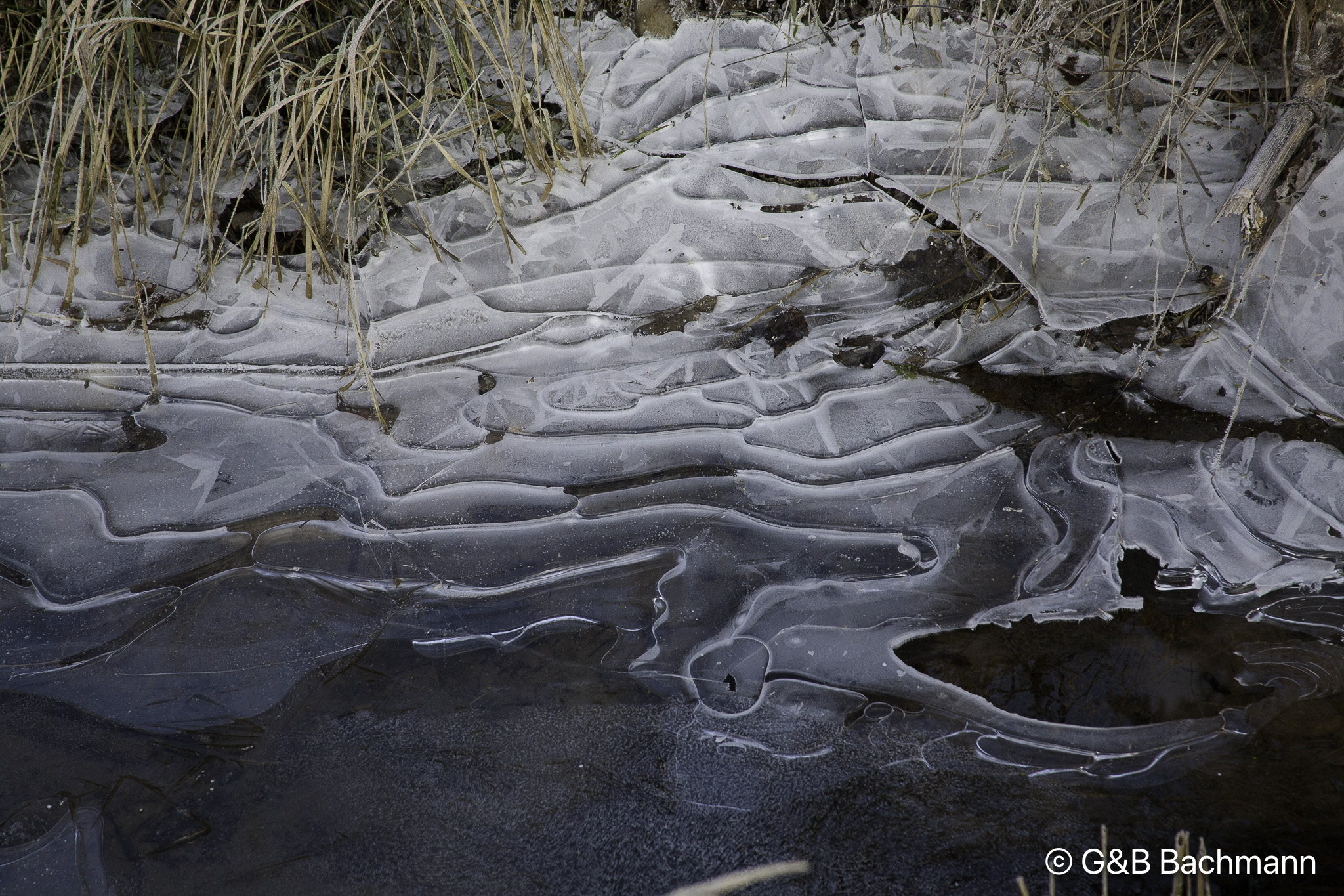 1101_Petite_Camargue.jpg