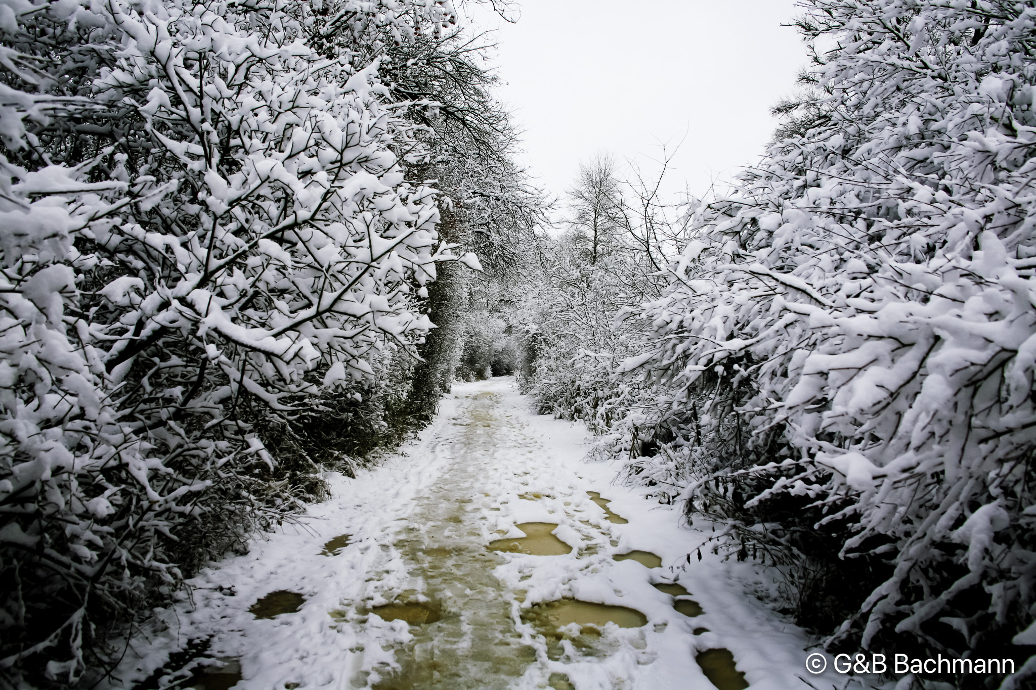 1102_Petite_Camargue.jpg
