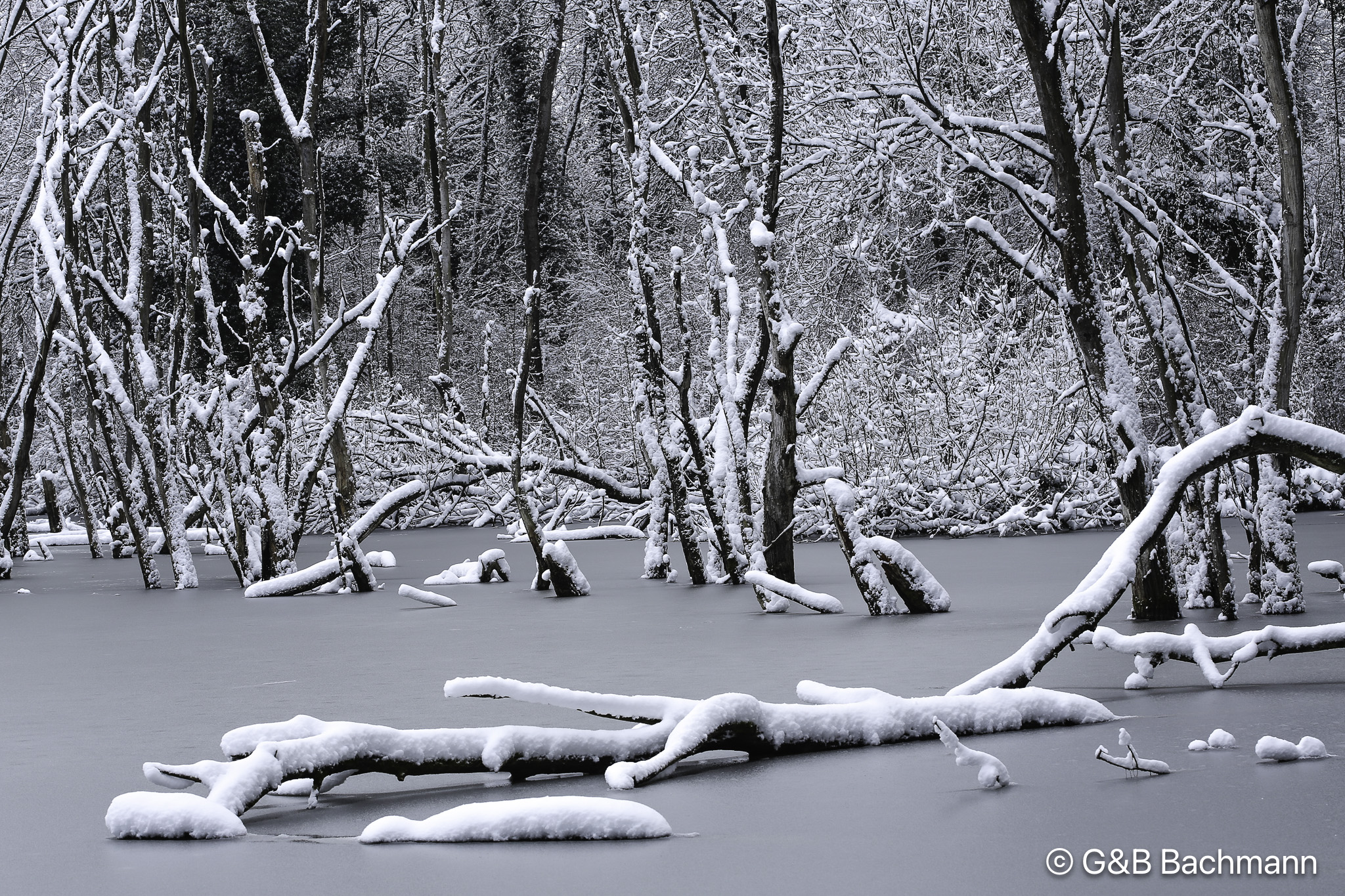 1212_Frozen_Pond.jpg