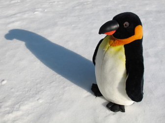 1202_Penguin.jpg