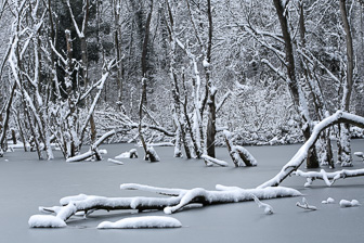 1212_Frozen_Pond.jpg