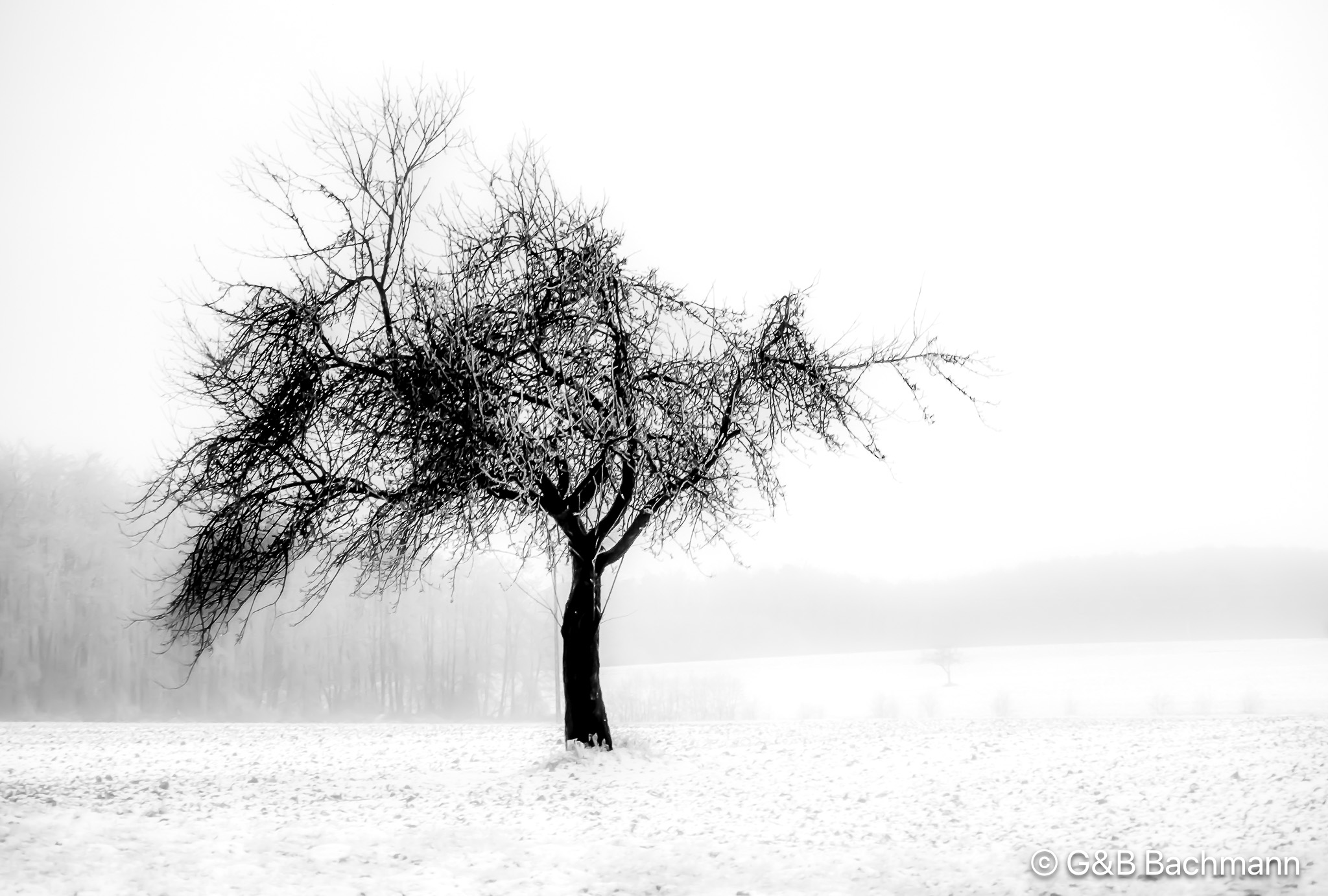 201302_Sundgau.jpg