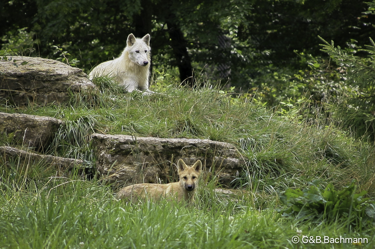 201305_Sainte-Croix.jpg