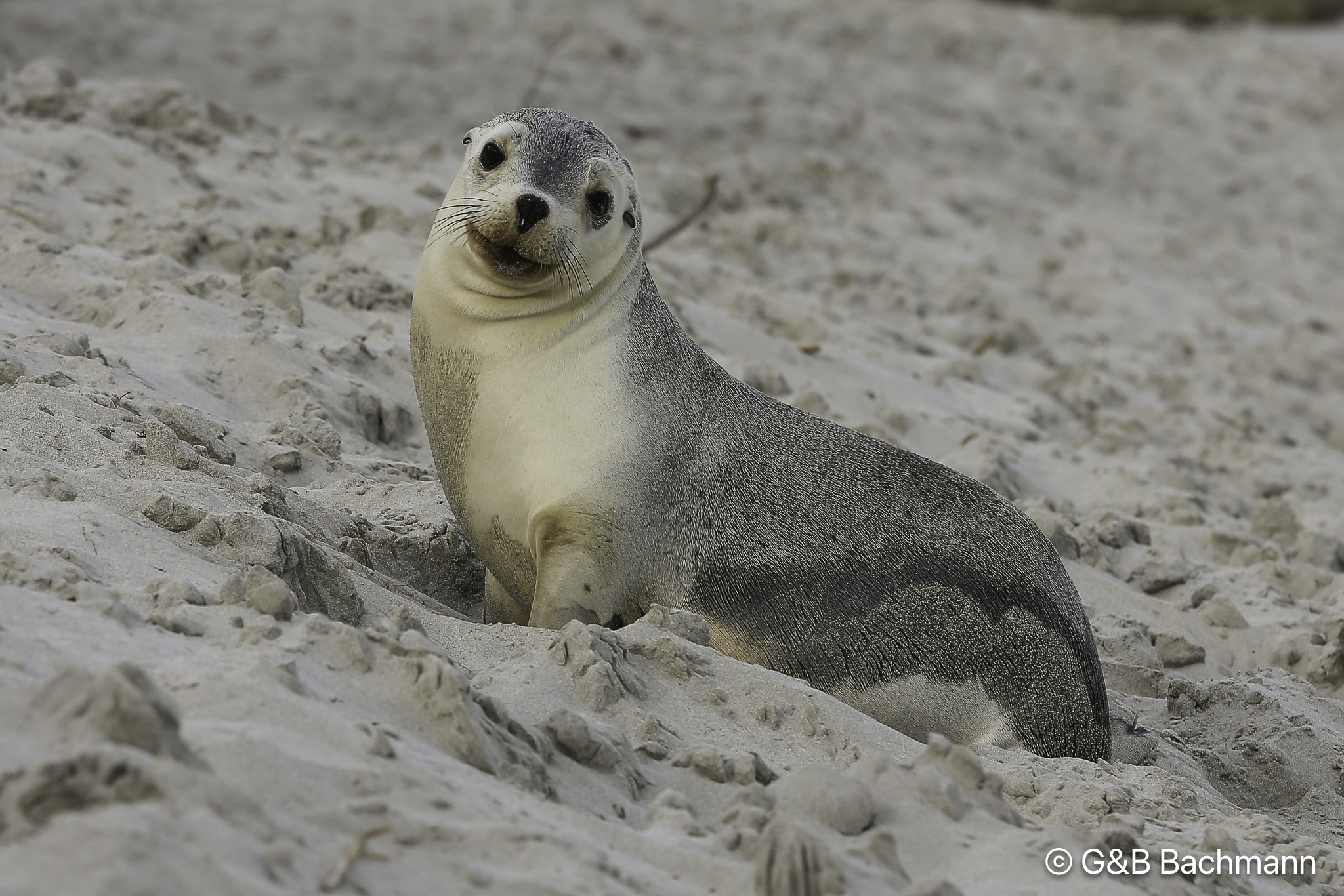 201406_Seal.jpg