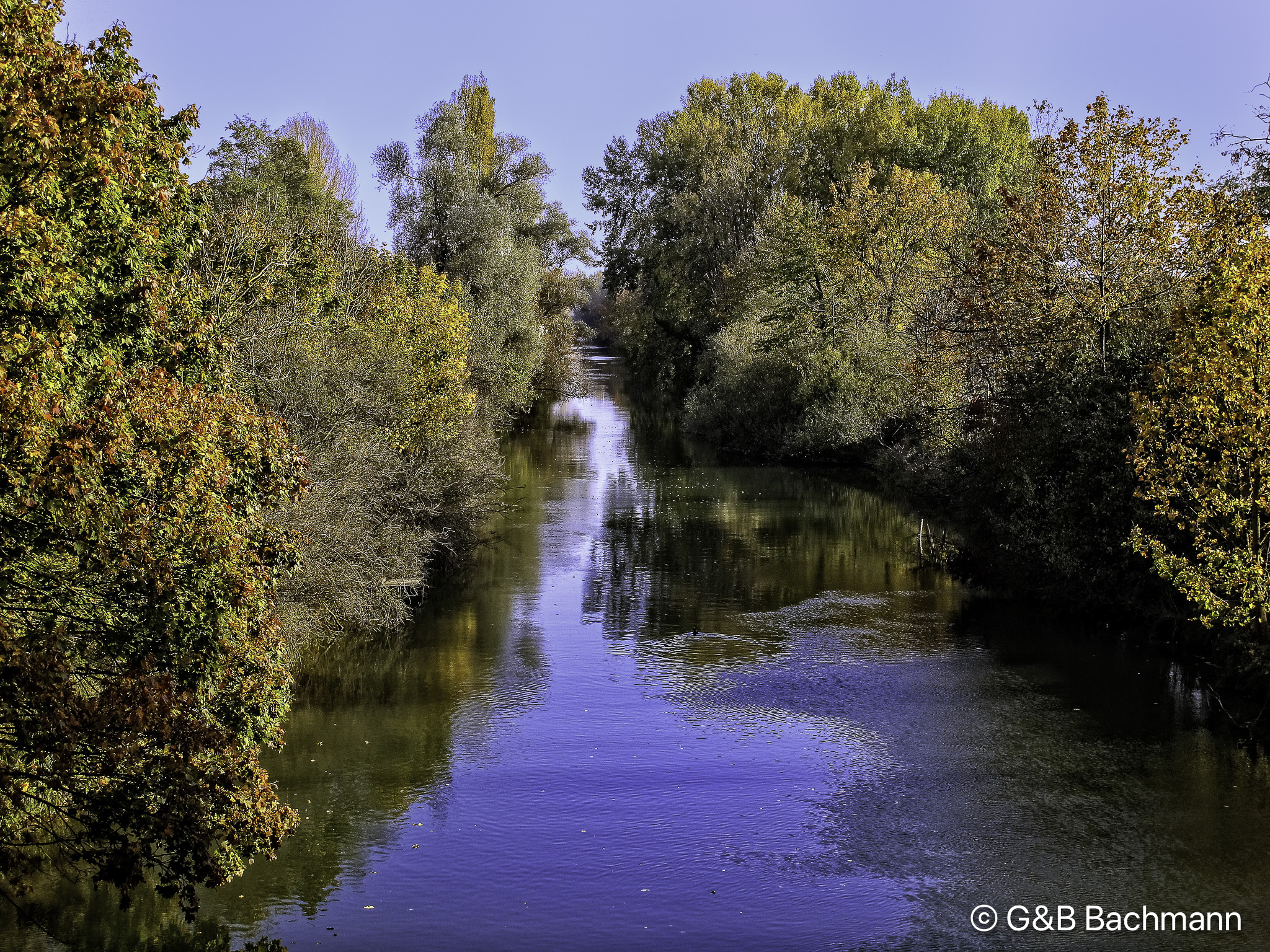 201411_Fall_Colors.jpg