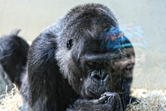 201403_Zoo_Basel.jpg