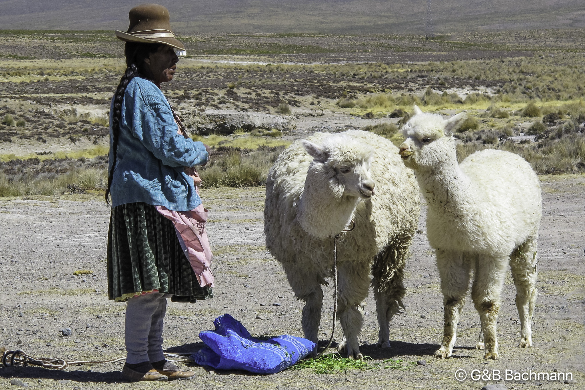 201501_Colca.jpg