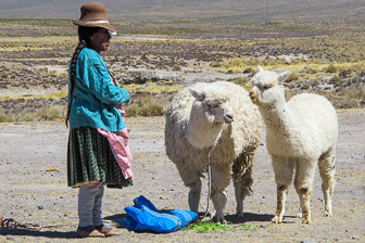 201501_Colca.jpg