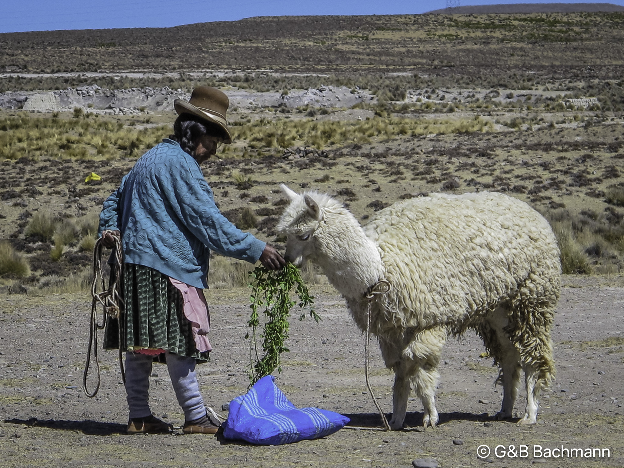 201808_Peru_Colca.jpg