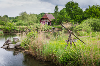 201804_EcoMusee-1.jpg
