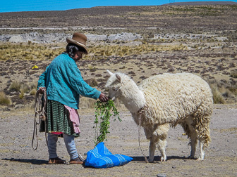 201808_Peru_Colca.jpg