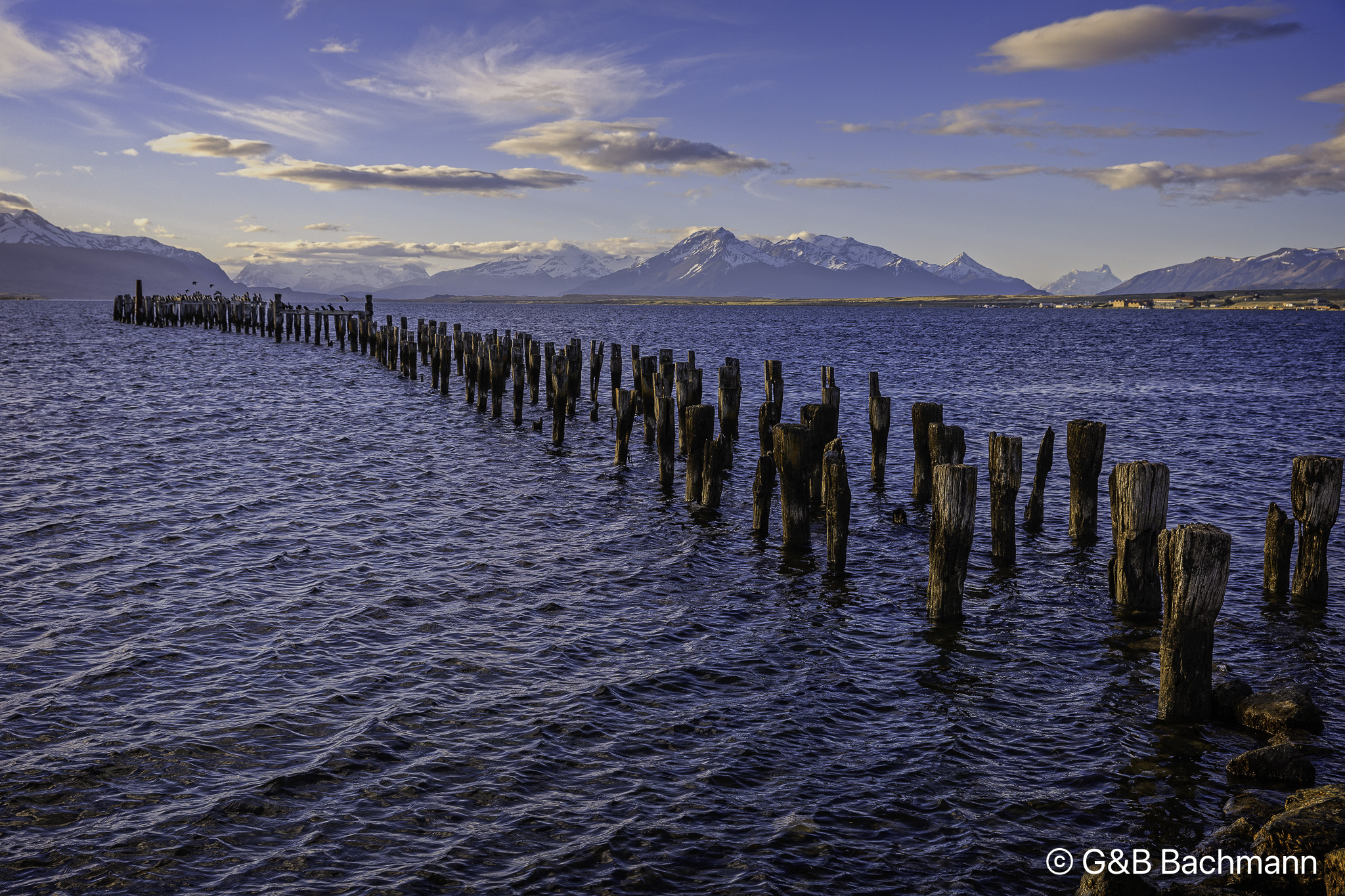 201903_Puerto_Natales.jpg